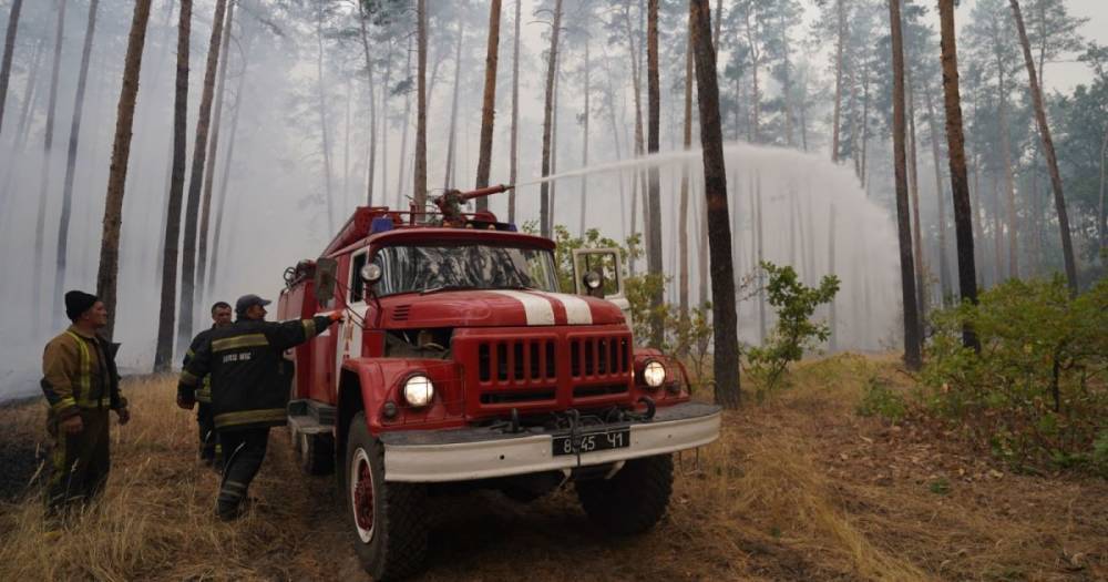 Спасатели предупреждают о пожарной опасности: каким регионам грозит