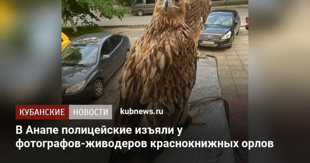 В Анапе полицейские изъяли у фотографов-живодеров краснокнижных орлов