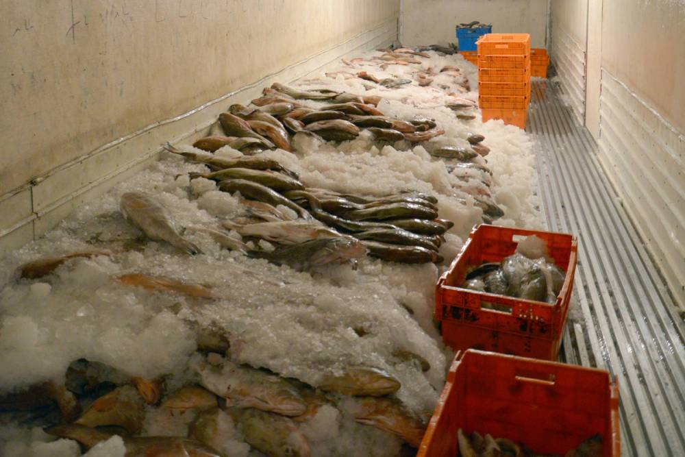 Появились проблемы с перевозкой рыбы с Дальнего Востока