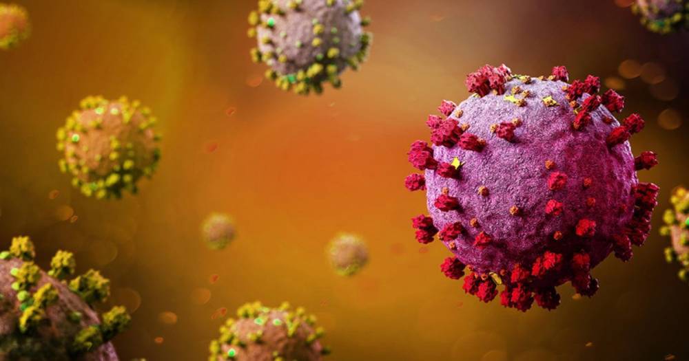 В США захотели изучить все теории возникновения коронавируса