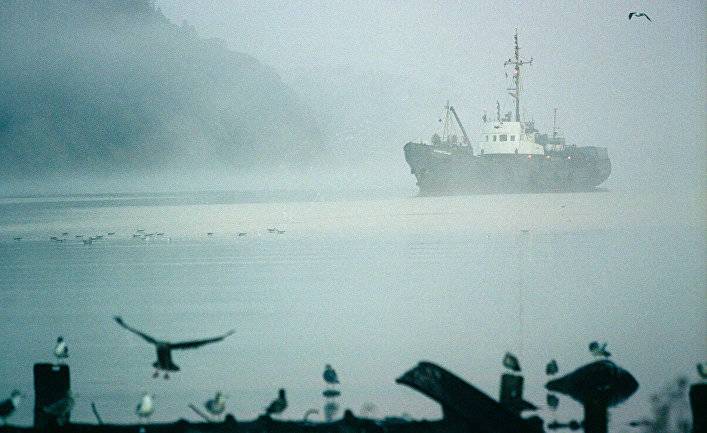 NHK (Япония): трагедия в Охотском море - столкновение российского и японского судов. Погибло трое японцев