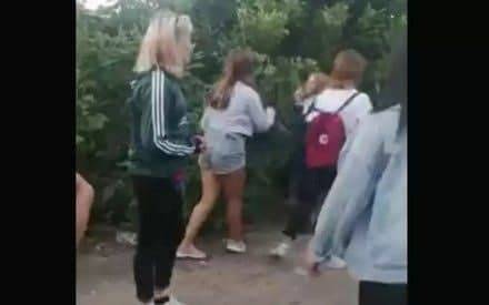 Школьницы из Барнаула изнасиловали четвероклассницу и отправили видео ее матери
