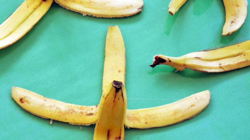 В Японии создали стройматериал из банановой кожуры и водорослей