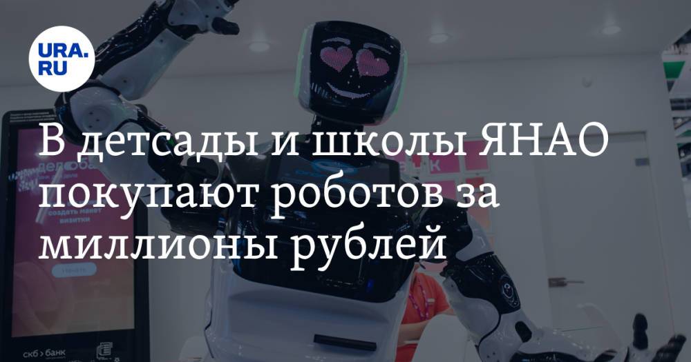 В детсады и школы ЯНАО покупают роботов за миллионы рублей. «Красивая игрушка»