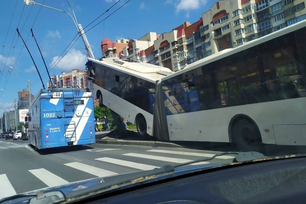 Эксперт оценил безопасность перевозчика, чей автобус въехал в столб в Петербурге