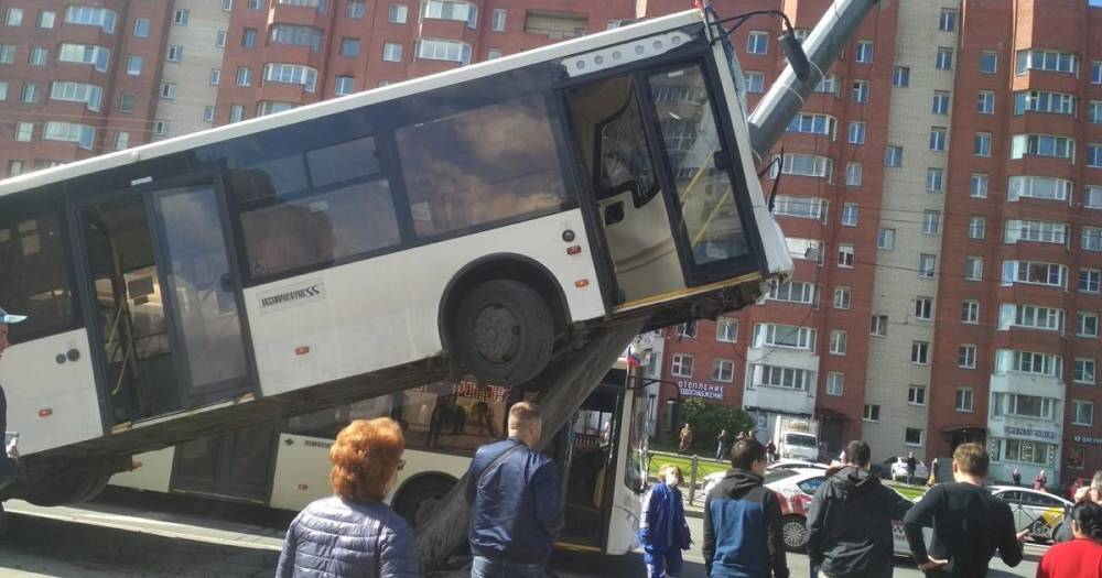 Неисправность "влезшего на столб" автобуса официально опровергли