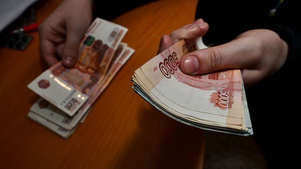 Депутат ЗакСа оценила вероятность появления базового дохода в России