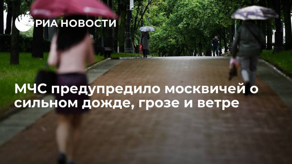 МЧС предупредило москвичей о сильном дожде, грозе и ветре