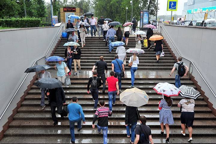 Москвичей предупредили о дожде и сильном ветре 28 мая