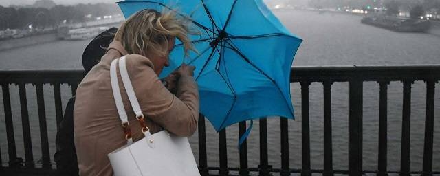 МЧС предупреждает жителей Москвы о грозах и усилении ветра