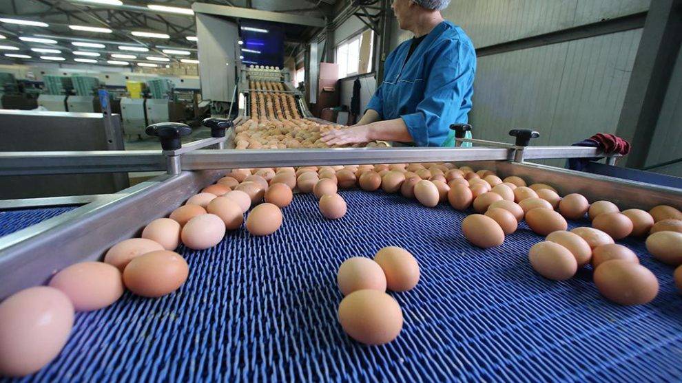 Жителей России предупреждают о дефиците яиц