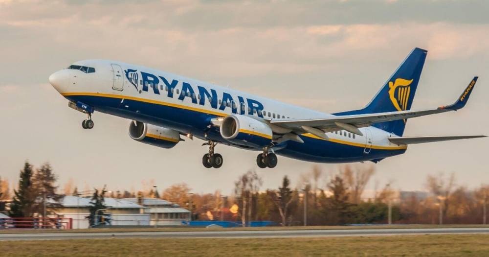 Самолет Ryanair - ряд стран и организаций начали расследование посадки лайнера в Минске: список
