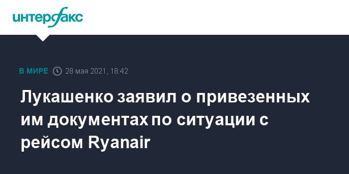 Лукашенко заявил о привезенных им документах по ситуации с рейсом Ryanair