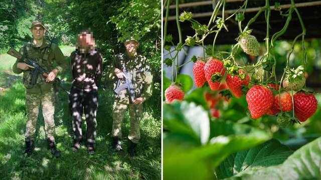 Настойчивый: поляка, который хочет собирать клубнику в Украине, в третий раз задержали