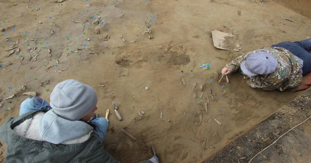 Артефакты эпохи неолита впервые нашли на юге Красноярского края