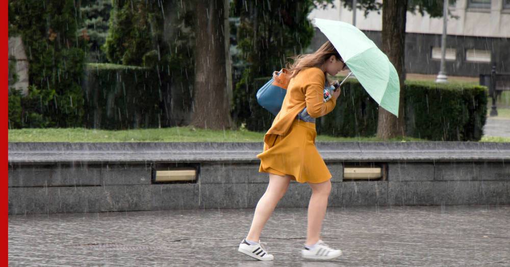 МЧС предупредило москвичей о дожде, сильном ветре и грозе