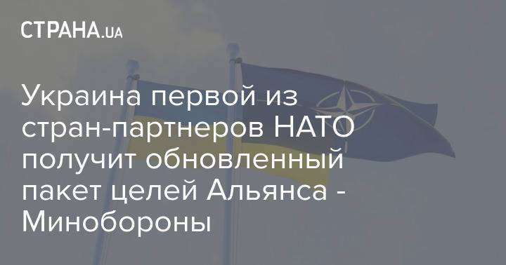 Украина первой из стран-партнеров НАТО получит обновленный пакет целей Альянса - Минобороны