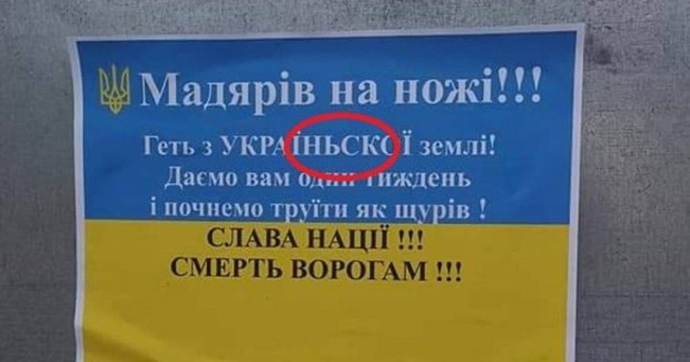 На Закарпатье расклеили листовки с угрозами украинским венграм: с ошибкой (ФОТО)