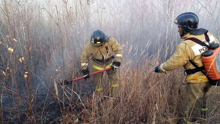 Новости на "России 24". Большинство лесных пожаров приходится на Тюменскую область