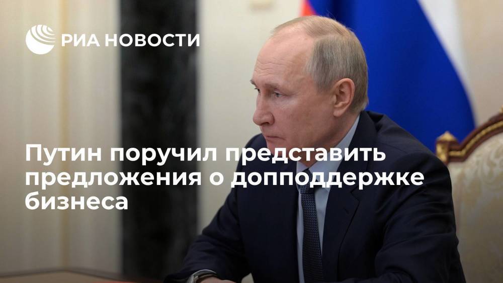 Путин поручил представить предложения о допподдержке бизнеса