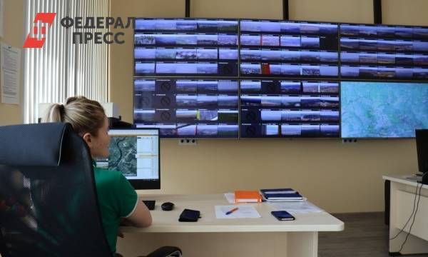 В Красноярском крае видеонаблюдением охватят 7 млн га леса