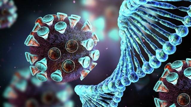 Японские ученые показали, как COVID-19 убивает клетки в организме