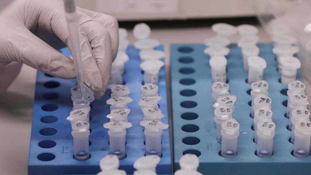 Разведка Великобритании считает правдоподобной утечку коронавируса из лаборатории
