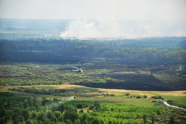 В России за сутки ликвидировали 53 лесных пожара