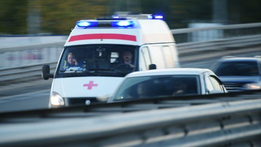 Три человека погибли, семеро пострадали в ДТП с «Газелью» на Алтае