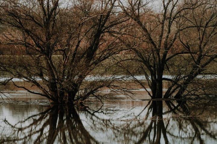 Жителей Краснодарского края предупредили о резком подъёме уровня рек