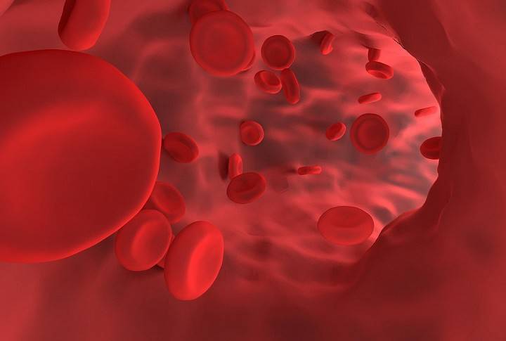 Диетолог дал рекомендации, как повысить уровень гемоглобина в крови
