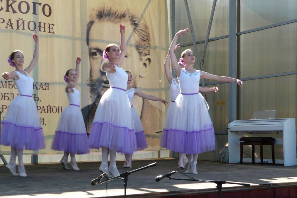 Фестиваль, посвящённый творчеству Петра Чайковского, пройдет в Бондарском районе