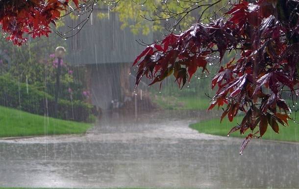 Погода на неделю: дожди, грозы и потепление