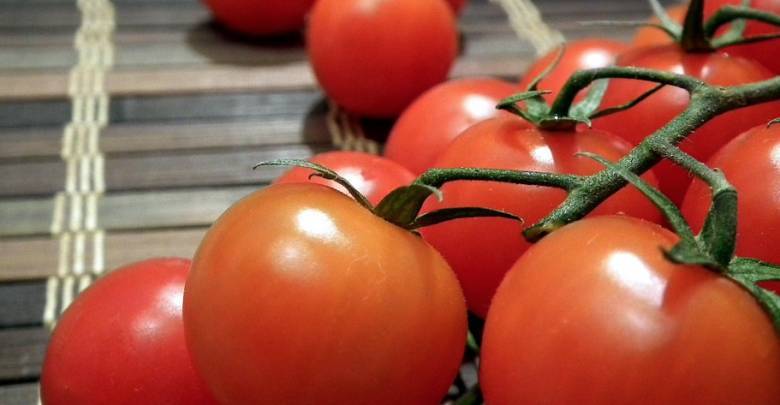 Россия увеличила квоту на ввоз помидоров из Турции до 300 тысяч тонн