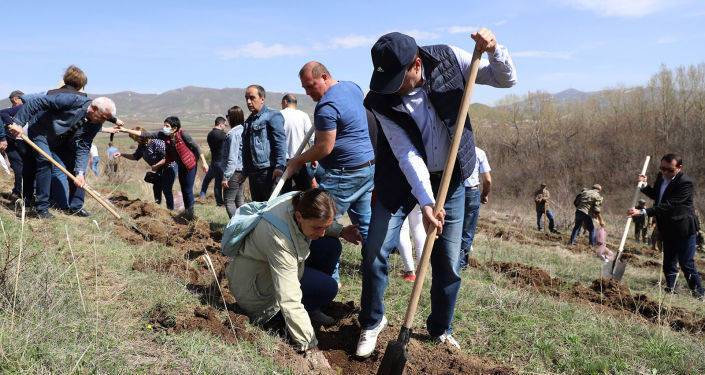 Армения надеется на помощь России для реализации проекта "10 миллионов деревьев"