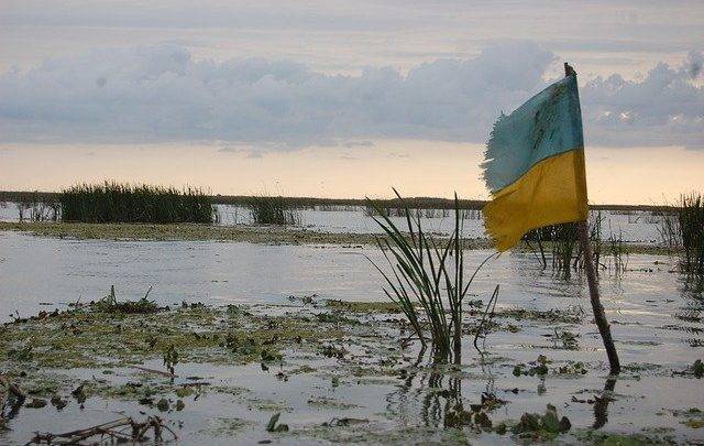 "Профукаем": Аналитик предрёк Украине потерю аграрного потенциала