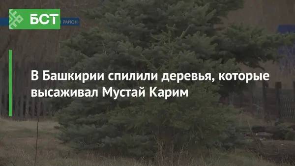 В Башкирии спилили деревья, которые высаживал Мустай Карим