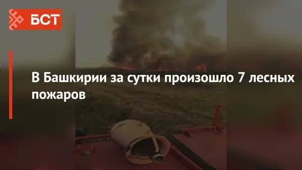 В Башкирии за сутки произошло 7 лесных пожаров