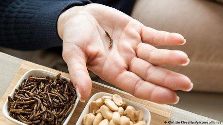 В Евросоюзе приняли оригинальное решение по «употреблению червей в пищу»