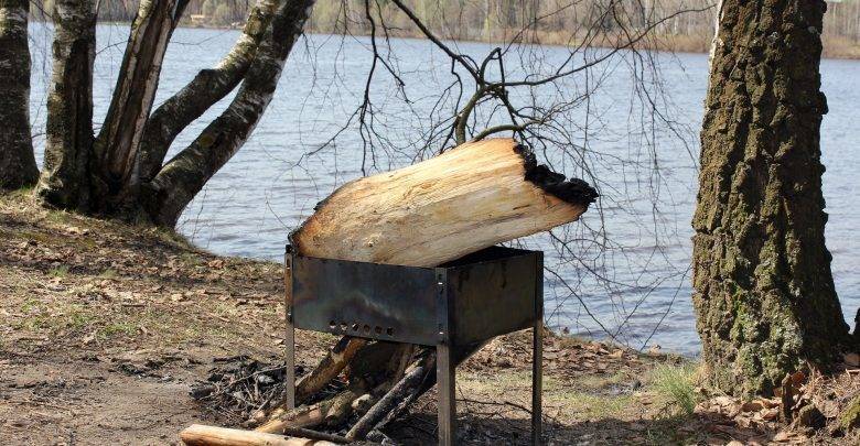 Россиянам дали советы, как не спалить лес при жарке шашлыков