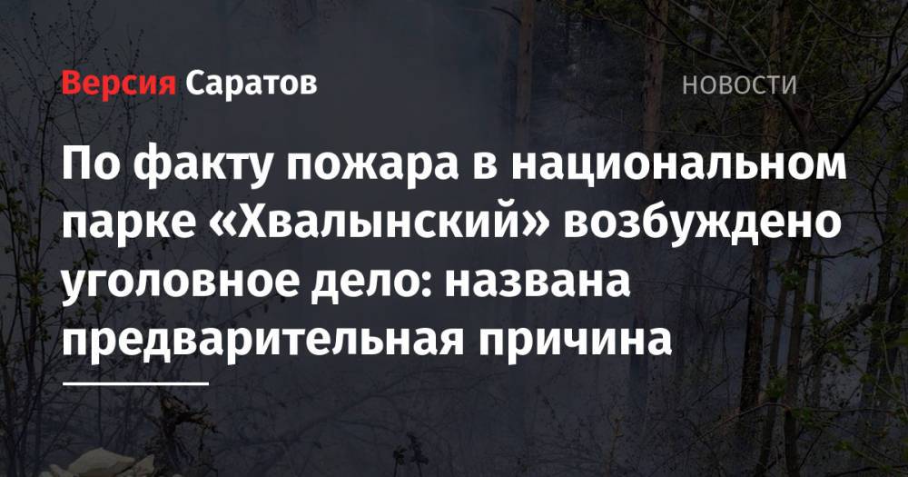 По факту пожара в национальном парке «Хвалынский» возбуждено уголовное дело: названа предварительная причина