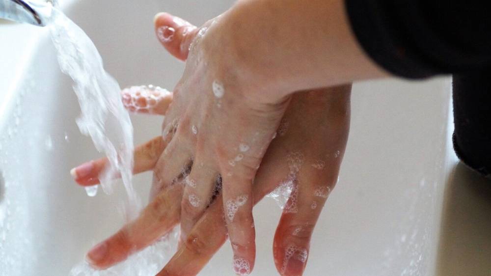 Роспотребнадзор дал подробную инструкцию по мытью рук на фоне пандемии