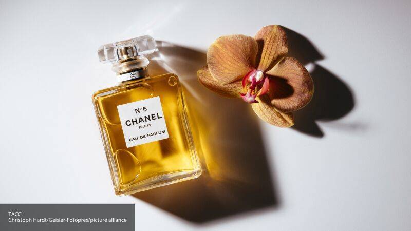 Вдохновленные Россией: как природа Заполярья стала частью парфюма Chanel №5