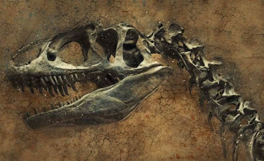 На юго-западе Китая палеонтологи нашли останки динозавра неизвестного вида