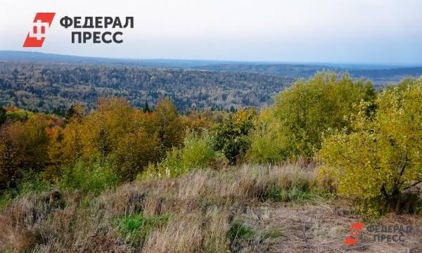 Восьми районам Томской области грозят природные пожары