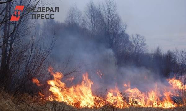 В Челябинской области выгорело более 1670 гектаров леса