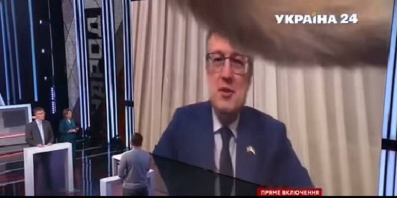 Кот Антона Геращенко прервал выступление хозяина на ток-шоу Народ проти - видео - ТЕЛЕГРАФ