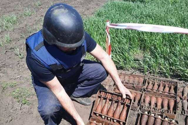 Мужчина нашел на огороде целый арсенал устаревших боеприпасов