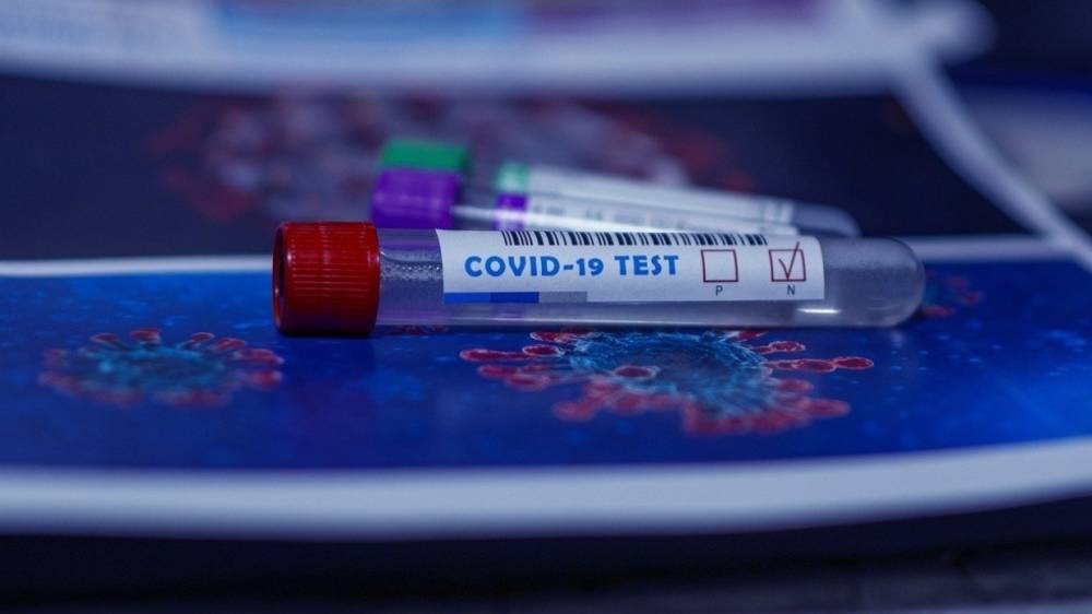 Новый метод экспресс-тестирования на коронавирус создали ученые из России и Японии