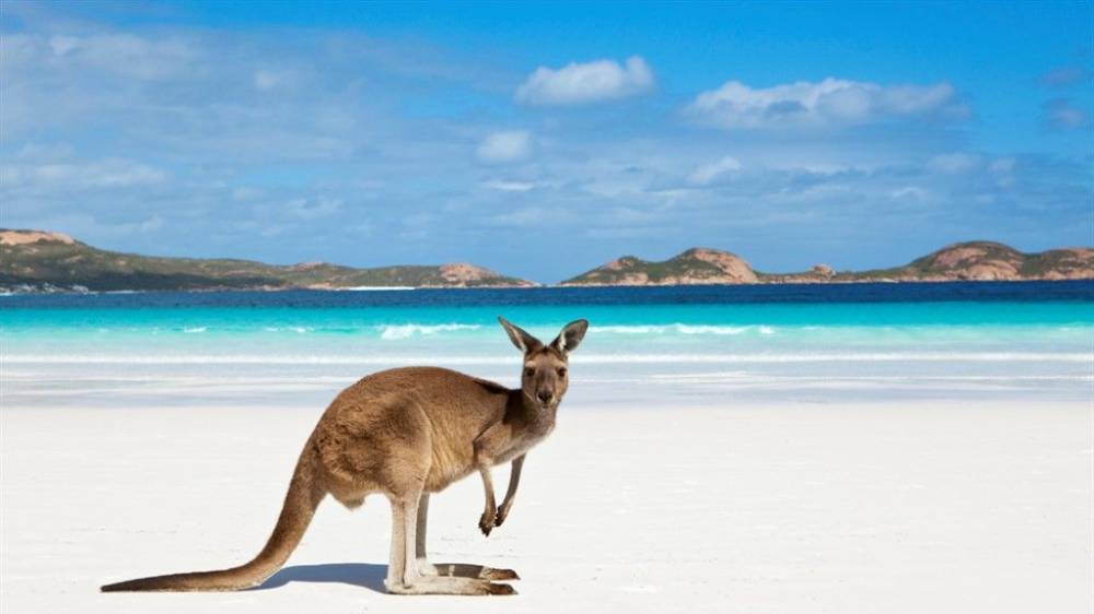 Австралия не откроется для туристов раньше 2022 года